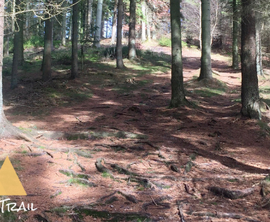 Ødal Trail Ødal Trail