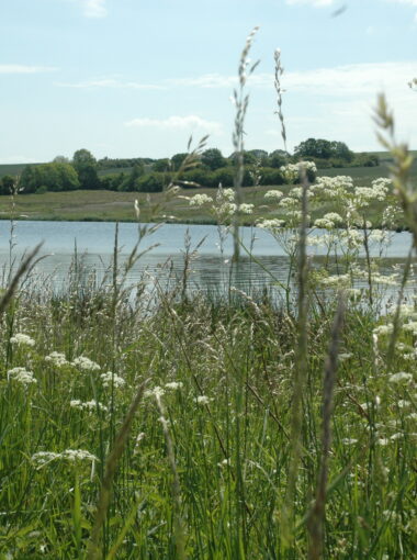 Slivsø løbet Slivsø løbet