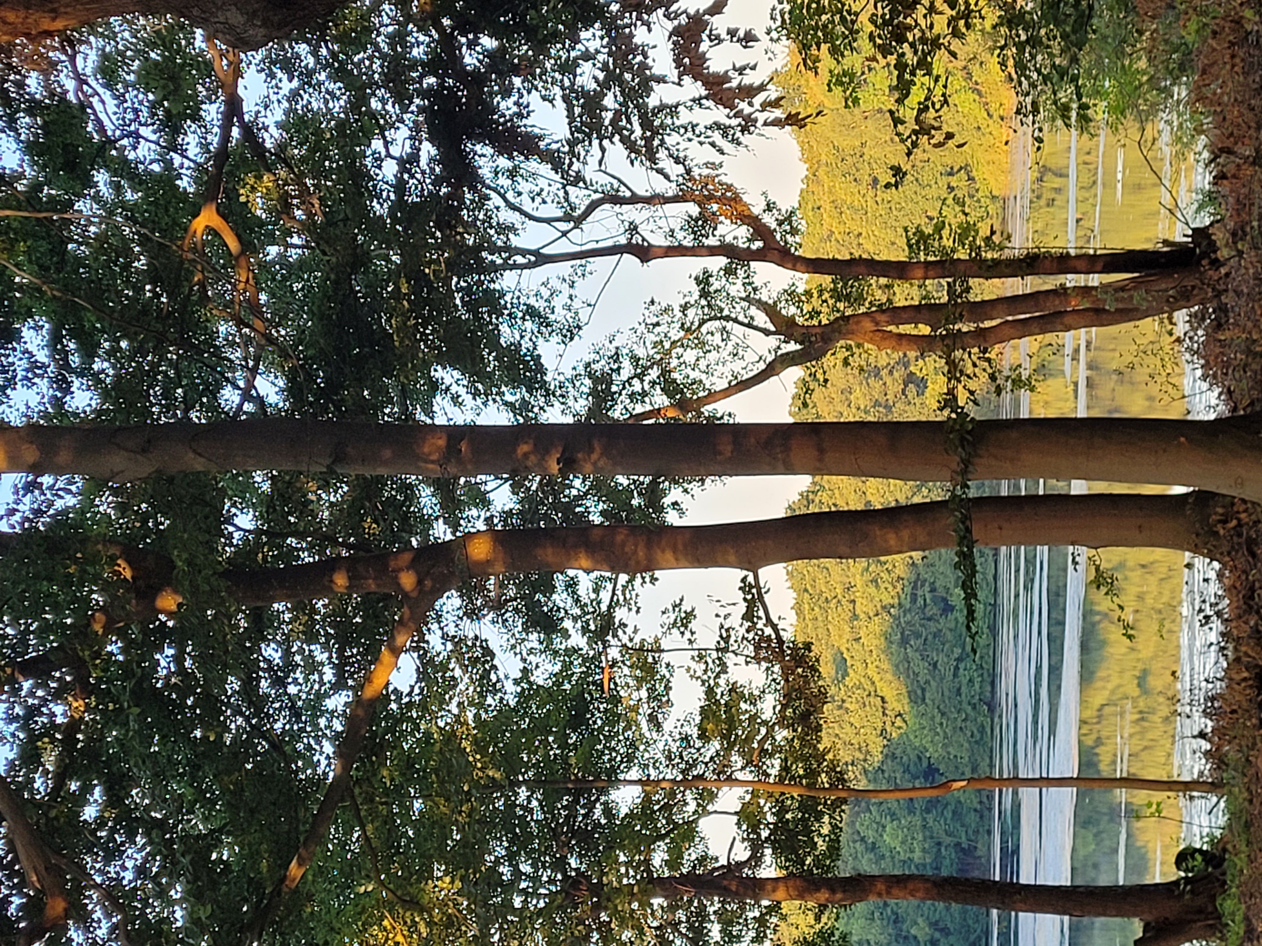 Filippaløbet