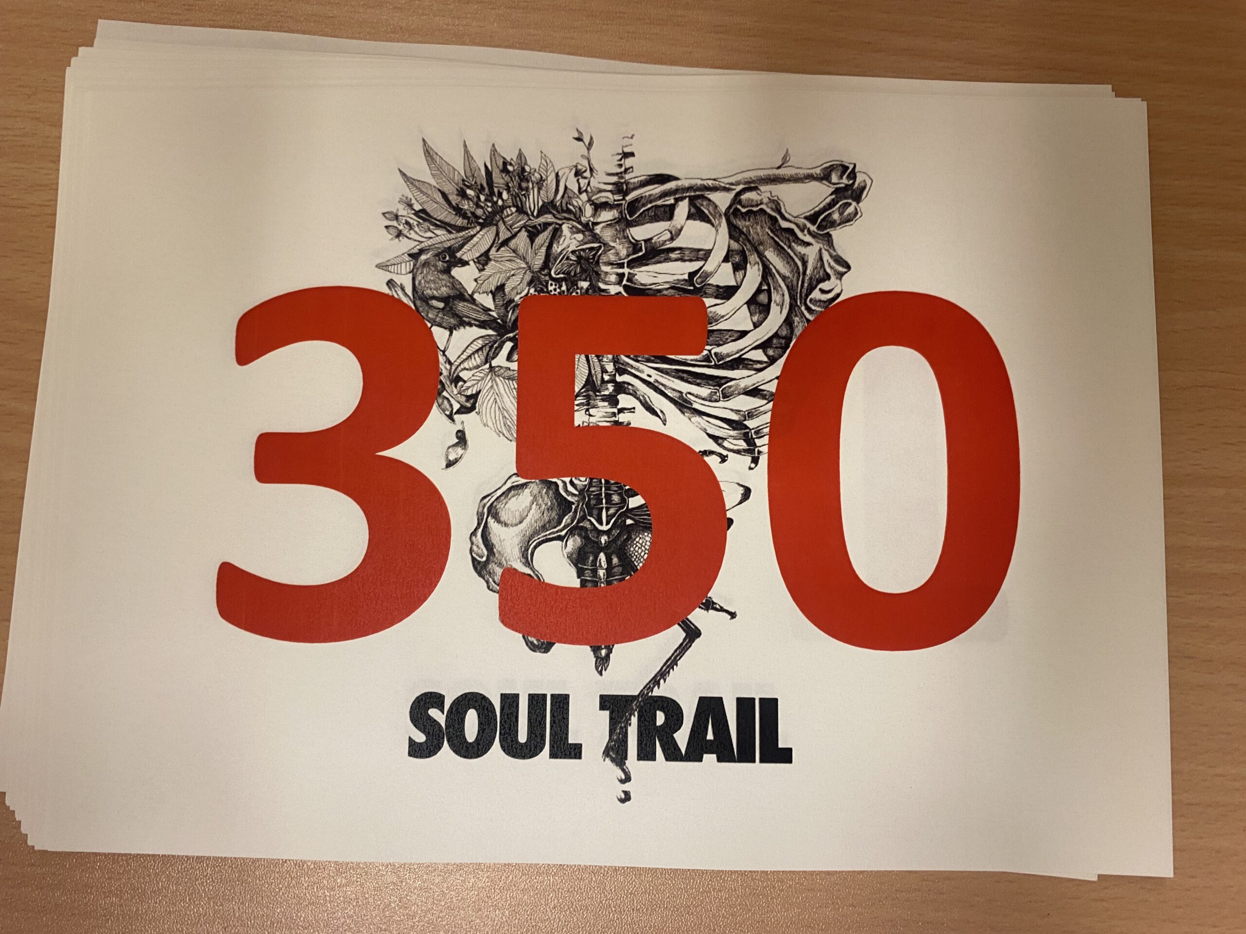 SOUL TRAIL CUP 2024 ALLE 5 AFDELINGER Motionskalender Dk   IMG 0766 Scaled 