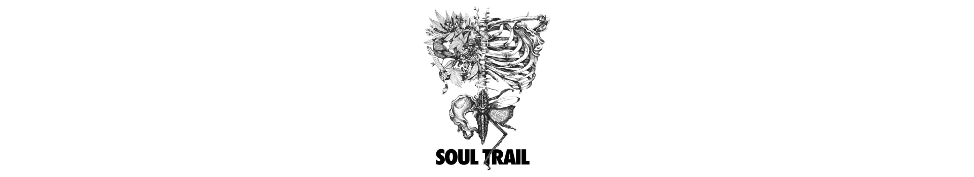 SOUL TRAIL Rude Skov 2025